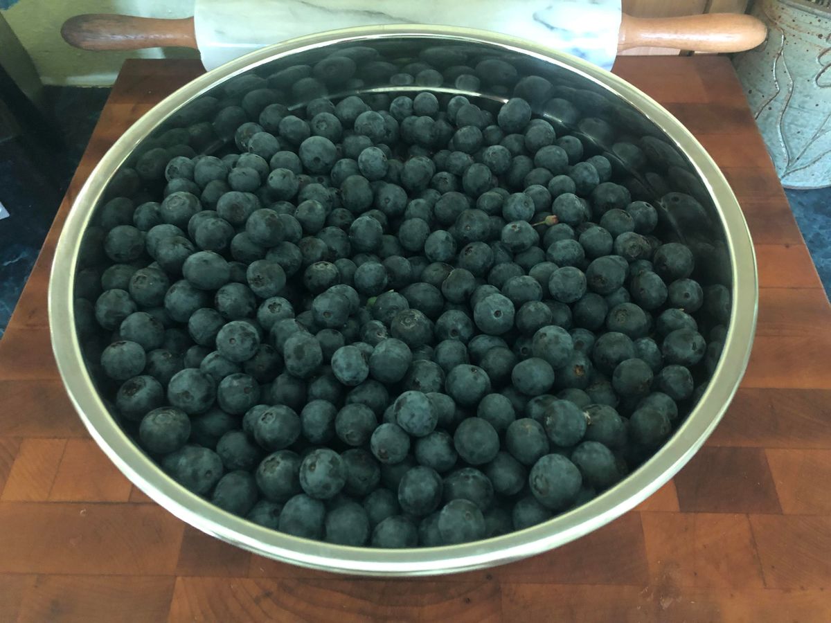 receta-de-jarabe-de-arandano